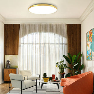 Zeitgenössische Runde LED-Deckenleuchte für Wohn- oder Schlafzimmer