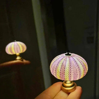 Elegantes DIY Seeigel Nachtlicht Lampe