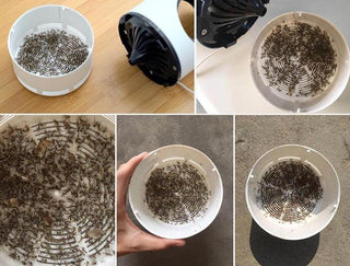 Wtilvolle Mückenvernichterlampe mit UV-Licht